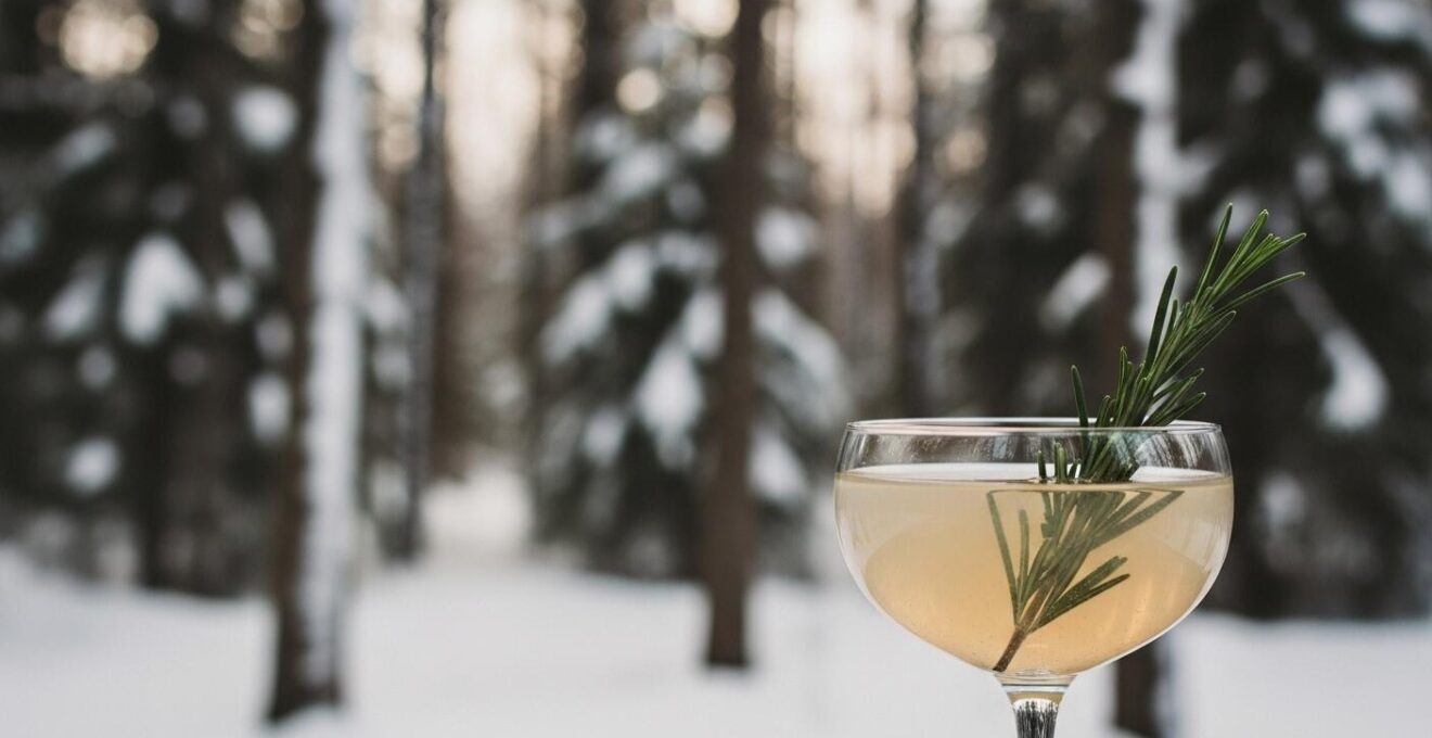 Verre de cocktail surmonté d’une branche de romarin avec fond de forêt québécoise floue