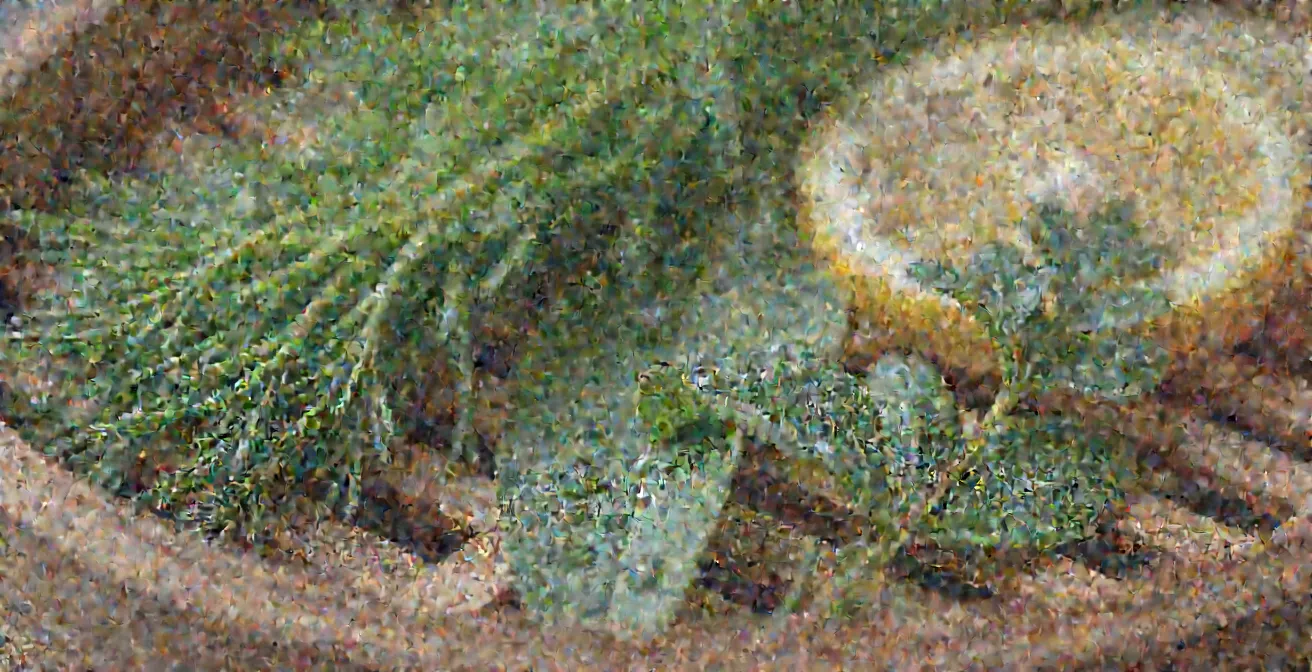 Arrangement d'herbes fraîches et d'aromates québécois du marché Jean-Talon disposés pour la cuisson vapeur